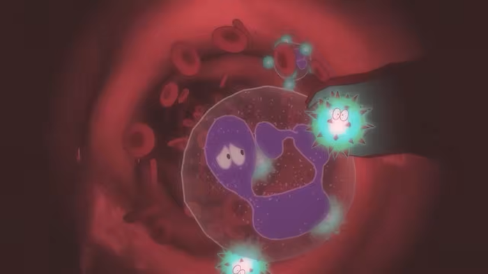 ROMEO IS A DEAD MAN_img4