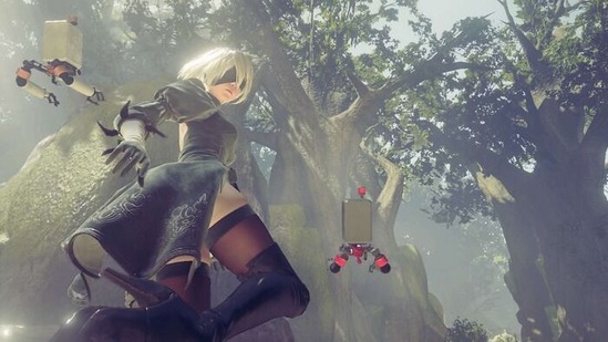 nierautomata