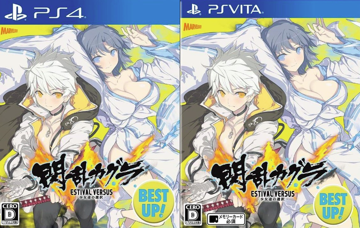 閃乱カグラ：廉価版