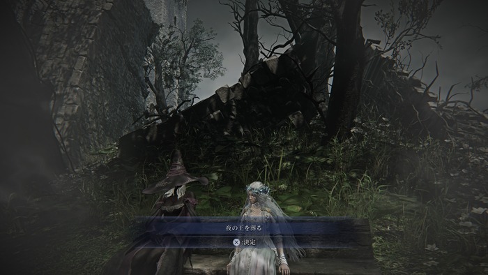 ELDEN RING NIGHTREIGN