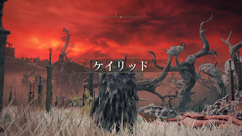 エルデンリング_TOP