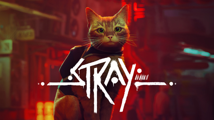 Stray_TOP