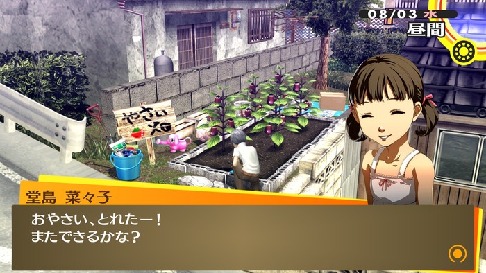 P4G