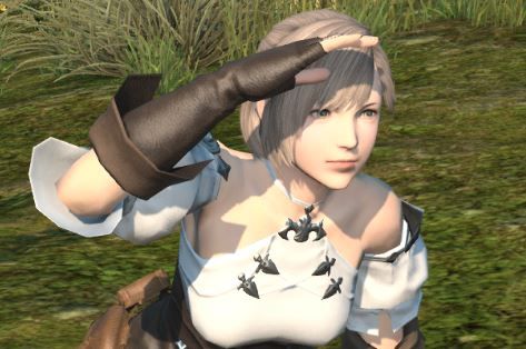 FF14