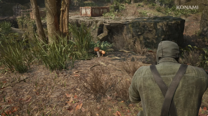 FOX HUNT