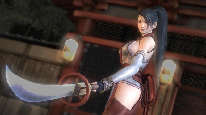NINJA GAIDEN