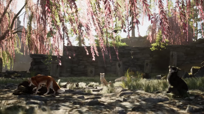 Spirit of the North 2_1