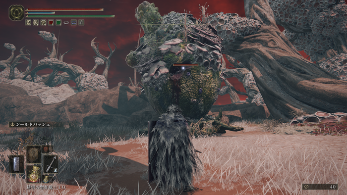 エルデンリング_1