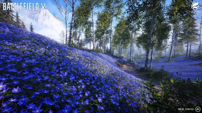 BFV_2