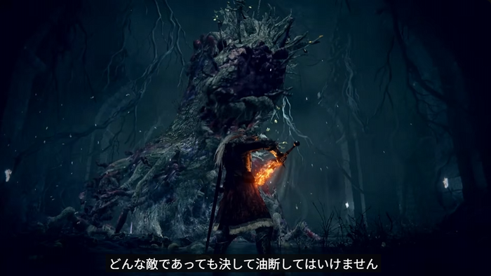 これからはじめる『ELDEN RING』スクリーンショット 2026-08-27 235314