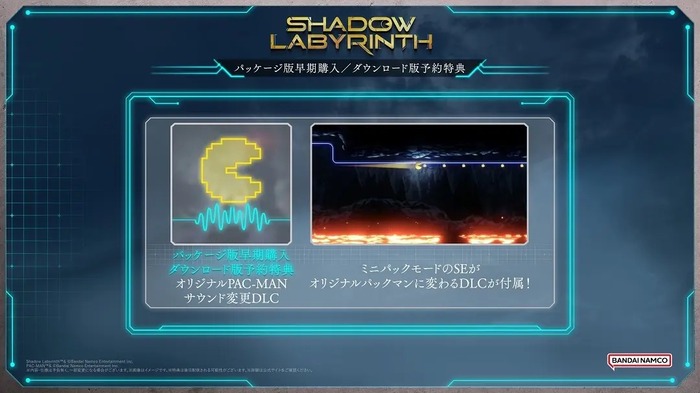 パッケージ版早期購入特典/ダウンロード版