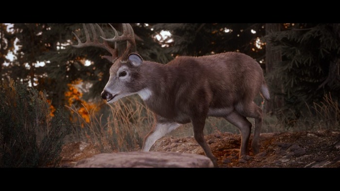 Hunting-Simulator-3_2024_11-26-24_005-1280x720