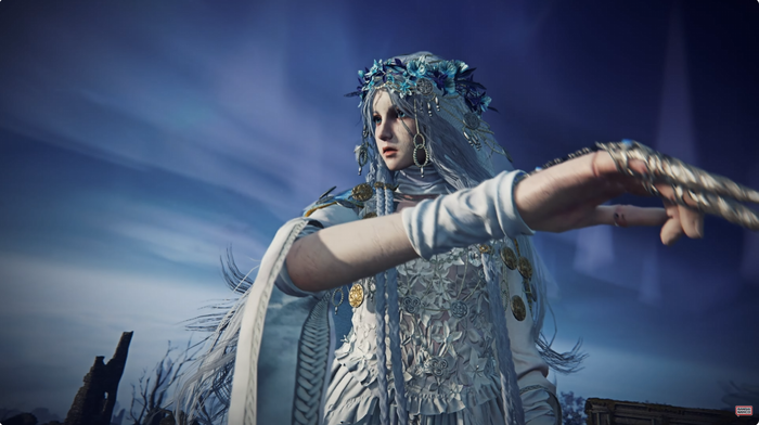 ELDEN RING NIGHTREIGN_復讐者