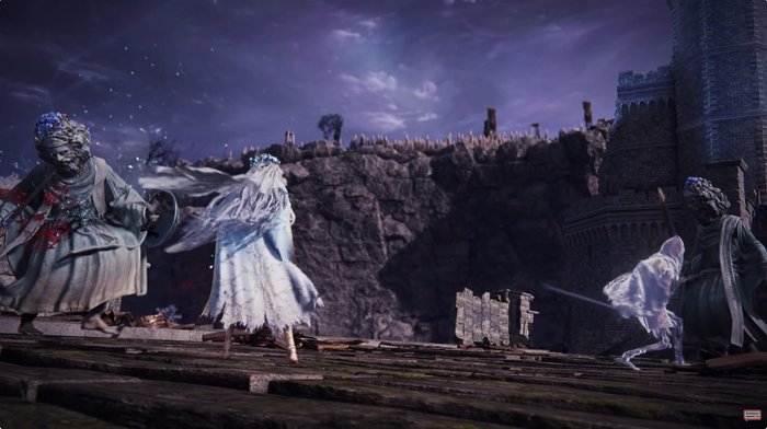 ELDEN RING NIGHTREIGN_復讐者