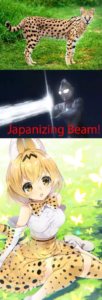no title