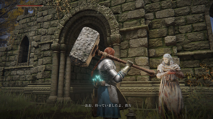 エルデンリング_1