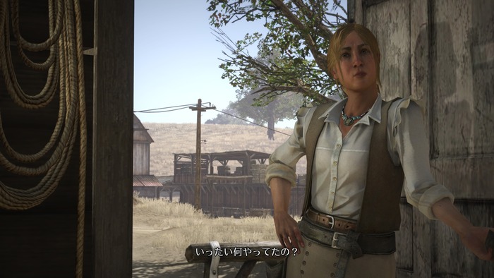 レッド・デッド・リデンプション_3