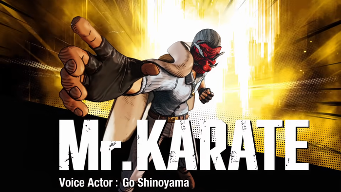 Mr.KARATE
