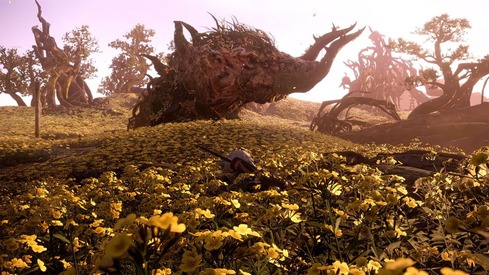 ワイルドハーツ_TOP