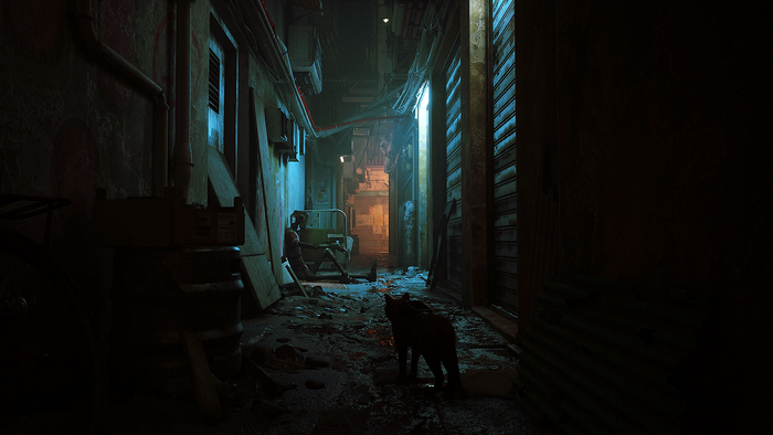 Stray_2