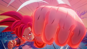 dbzk_1