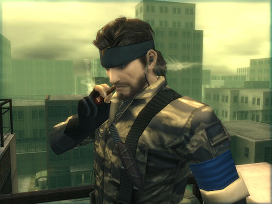 MGS3