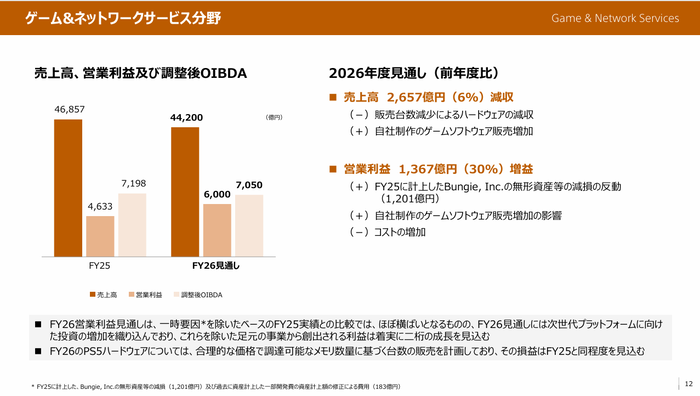 12.ゲーム&ネットワークサービス分野