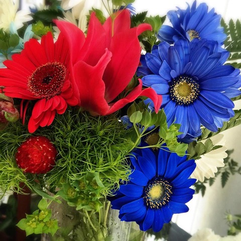 10997715_1057771830918671_1041097431532874314_n