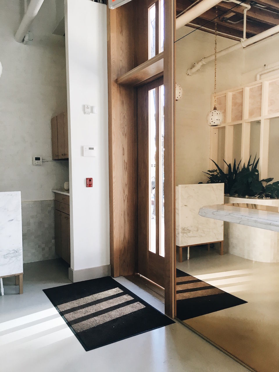 Bạch tuộc nhỏ trên thiết kế * Bọt biển
