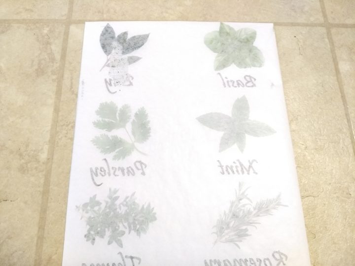  Dấu hiệu thảo mộc nhà bếp 
