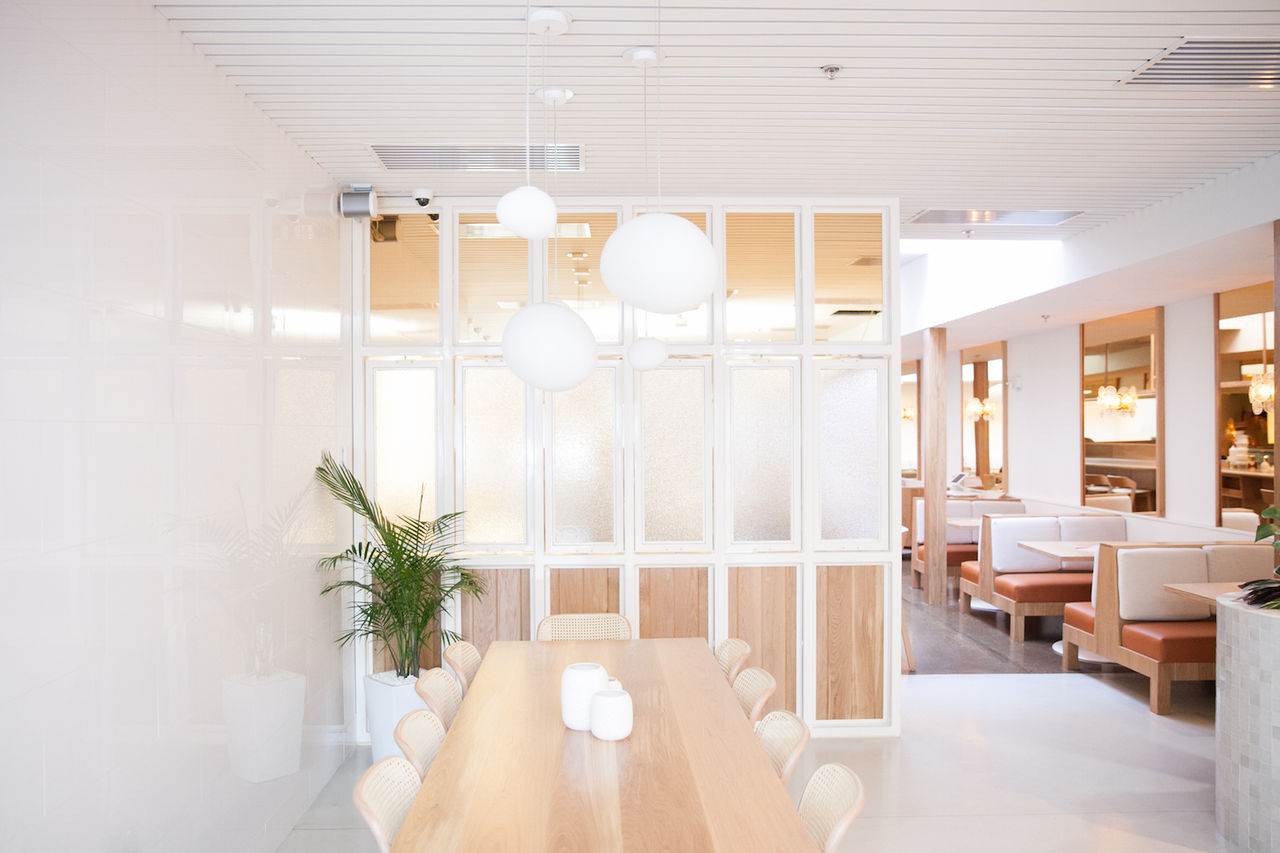 Bạch tuộc nhỏ về thiết kế * Bọt biển