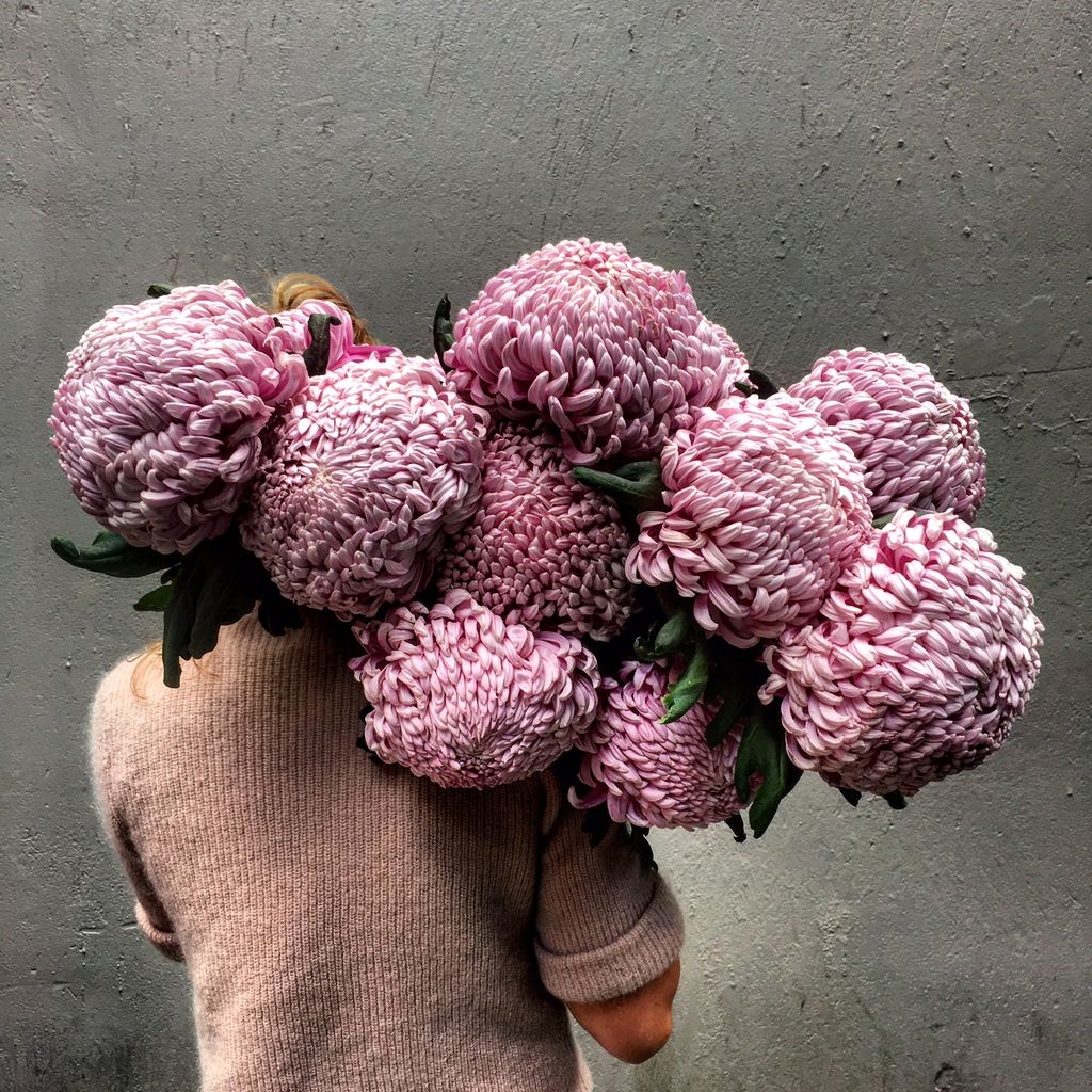 IMG_3301