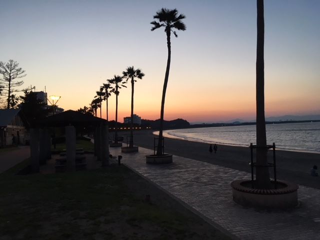 夜の青島ビーチパーク ホテルエリアワン宮崎 Hotel Areaone Miyazaki Staff Blog