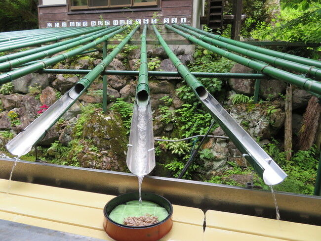 ながしそば : AREDひび