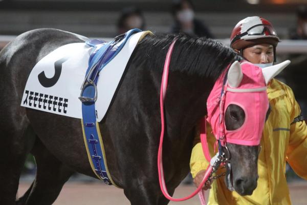 【競馬】中山遥人騎手、スモモモモモモモモで初勝利やんけ！