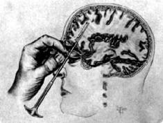 フィネアス ゲージ Japaneseclass Jp