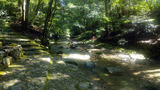 20190902takihara01