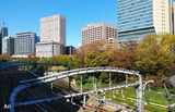 20201121jinbo01