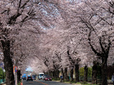 20220328saku01