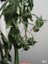 20200608to02