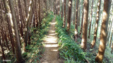 20201101asou04