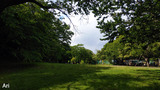 20210502park