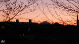 20210219saku03