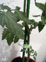 20200608to01