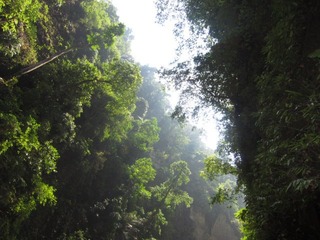 540023_404236919617175_100000926114046_1271802_355530957_n