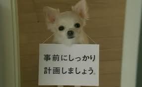 yjimage