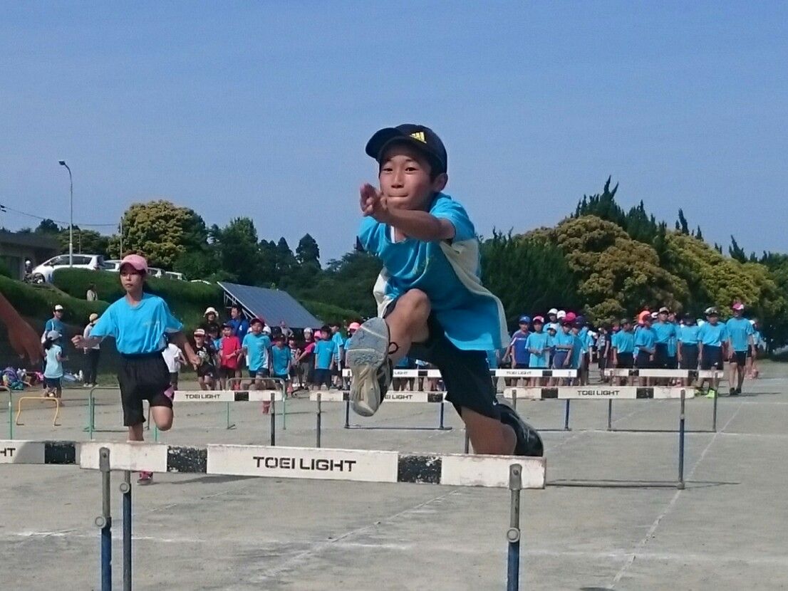 イメージ 15
