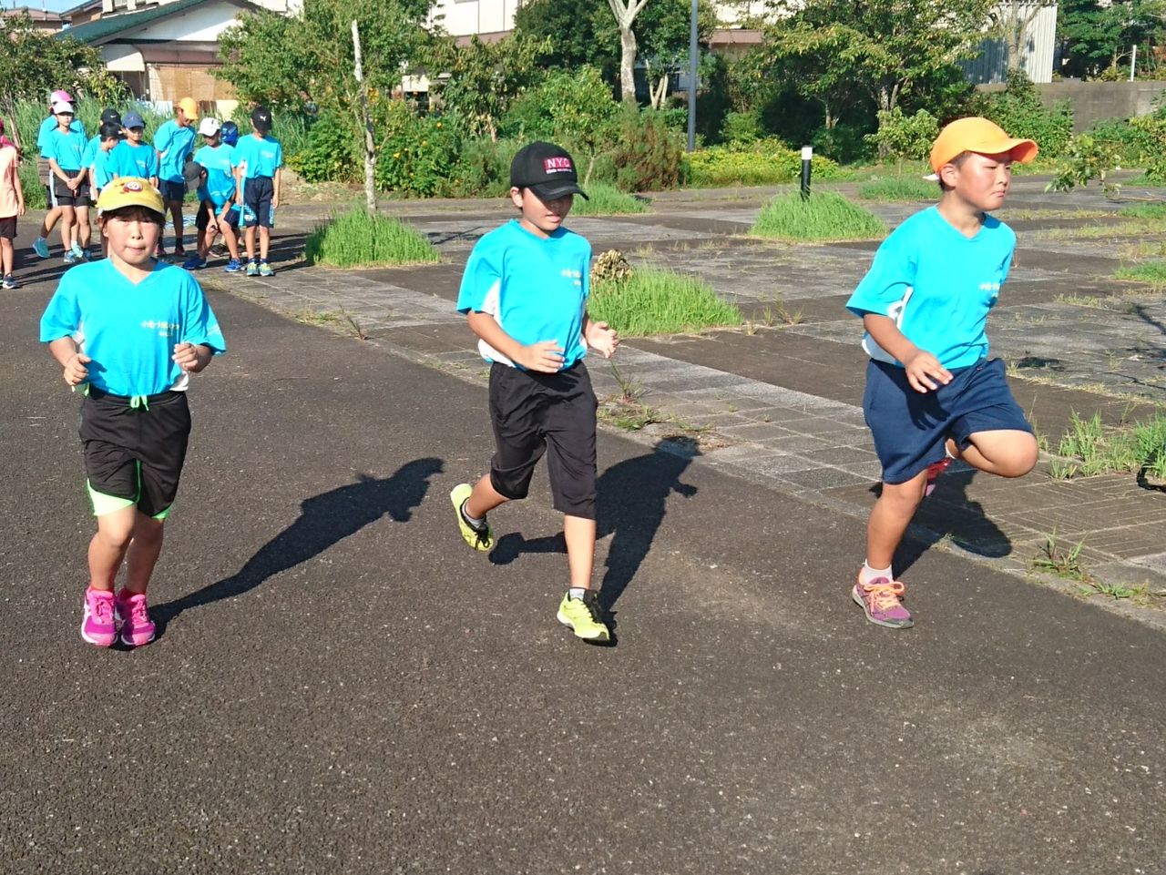 イメージ 7