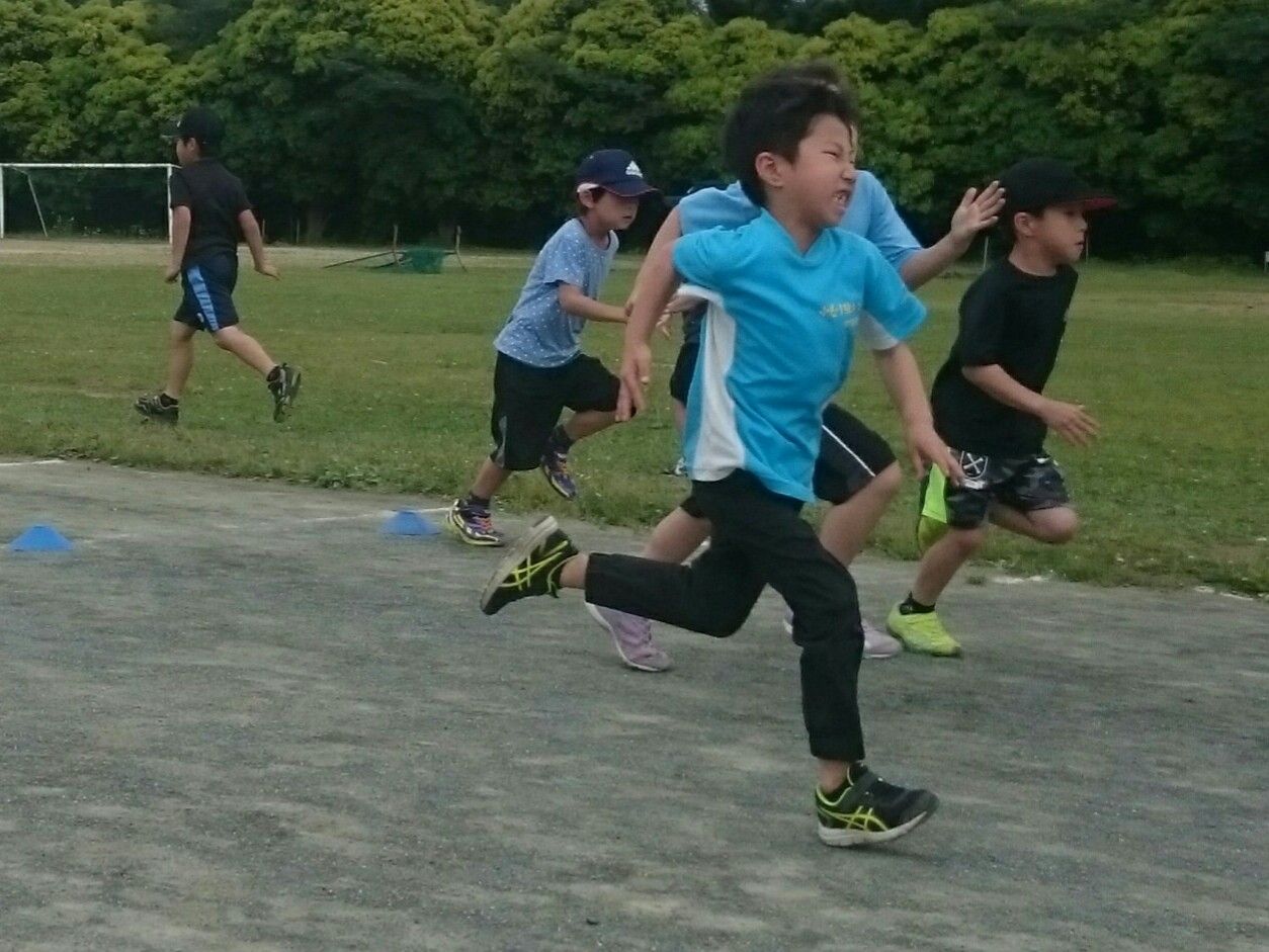 イメージ 9