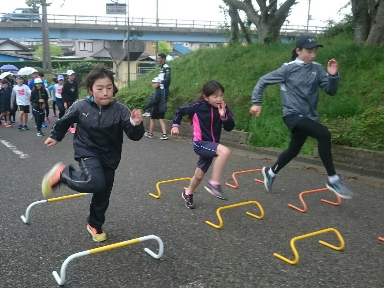 イメージ 41